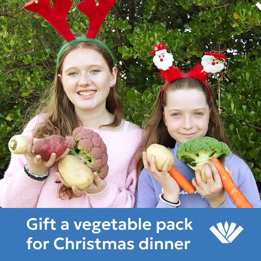Two people holding vegetables with Christmas-themed headbands against a green background, promoting a vegetable pack for Christmas dinner.